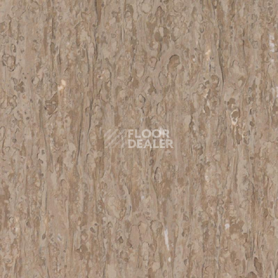 Линолеум Tarkett iq Optima GREY BEIGE 0820 фото 1 | FLOORDEALER
